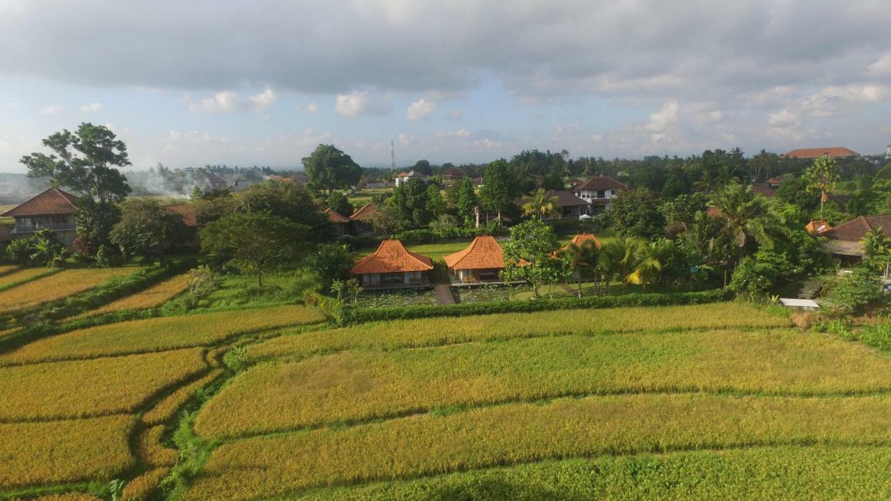 Griya Kcb Villa Ubud Mas  エクステリア 写真