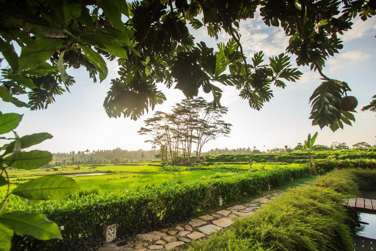 Griya Kcb Villa Ubud Mas  エクステリア 写真