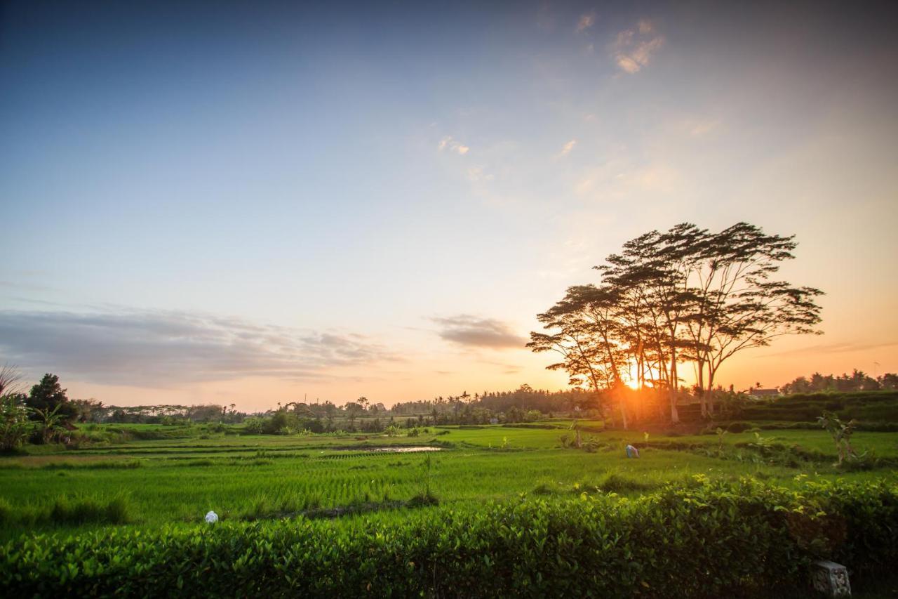 Griya Kcb Villa Ubud Mas  エクステリア 写真