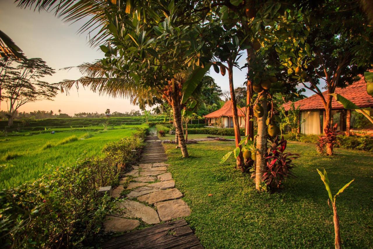 Griya Kcb Villa Ubud Mas  エクステリア 写真