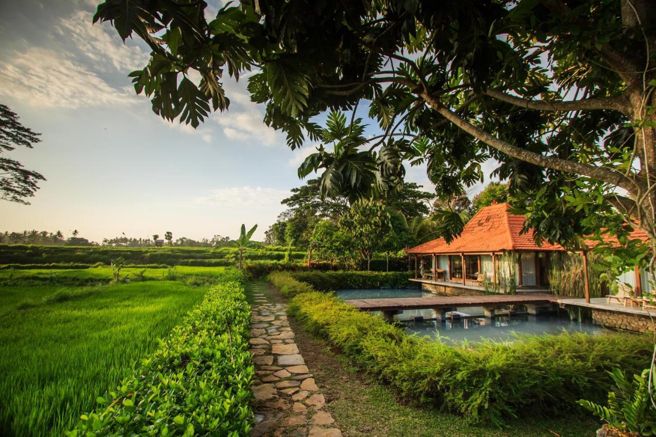 Griya Kcb Villa Ubud Mas  エクステリア 写真