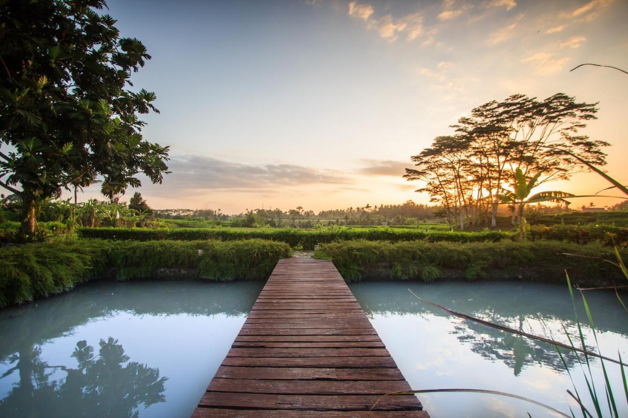 Griya Kcb Villa Ubud Mas  エクステリア 写真