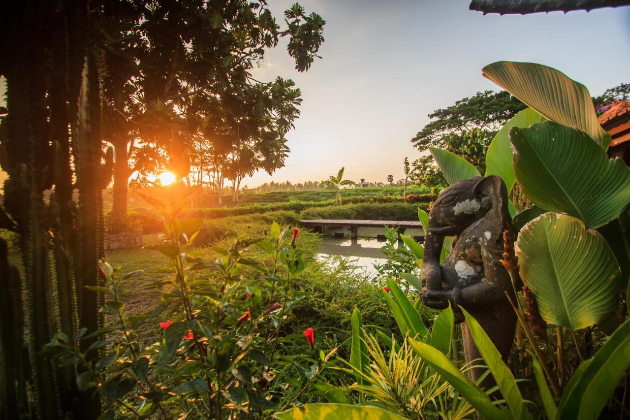 Griya Kcb Villa Ubud Mas  エクステリア 写真